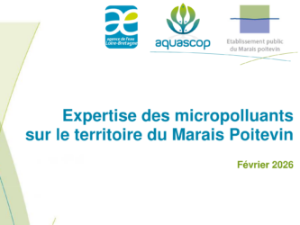 Réseau de suivi de la qualité des eaux de surface dans le marais poitevin – Rapport n°1