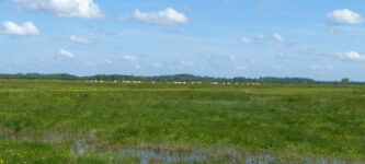Protocole de gestion de l’eau des marais de Luçon