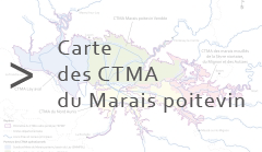 CTMA zh