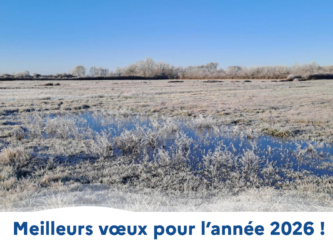 ✨ Meilleurs vœux 2026 ✨