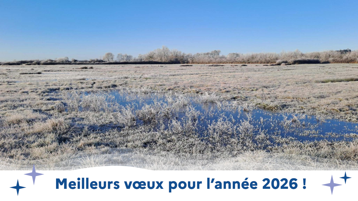 Carte de vœux 2026 de l'Établissement du Marais poitevin