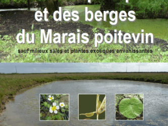 Sortie du guide sur la végétation des berges et des canaux du Marais poitevin