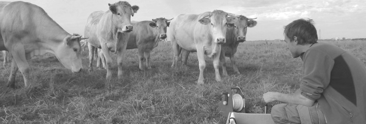 Pose d'un piézomètre dans une prairie