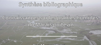 Bilan des connaissances disponibles sur les prairies humides du Marais poitevin