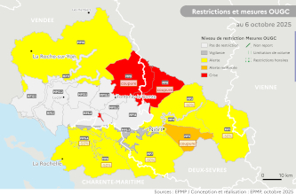 Organisme unique de gestion collective : mesures de restriction et d’auto-gestion par unité de gestion