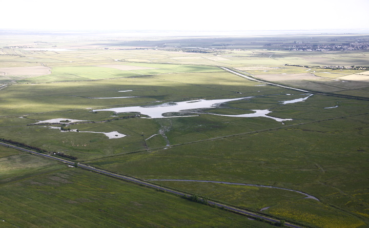 vue aérienne de la RNN de Saint-Denis-du-Payré